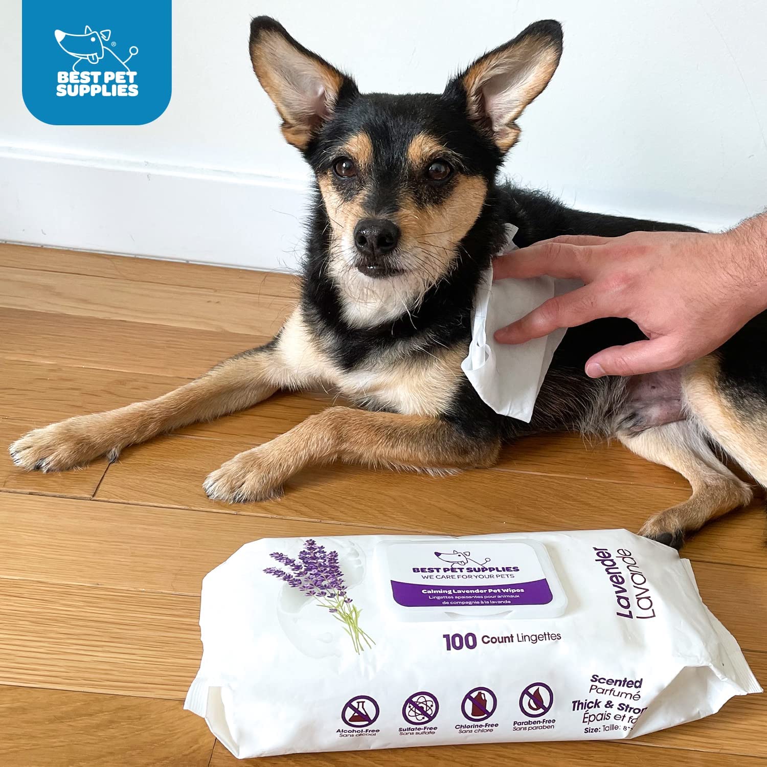 Best dog grooming wipes best sale